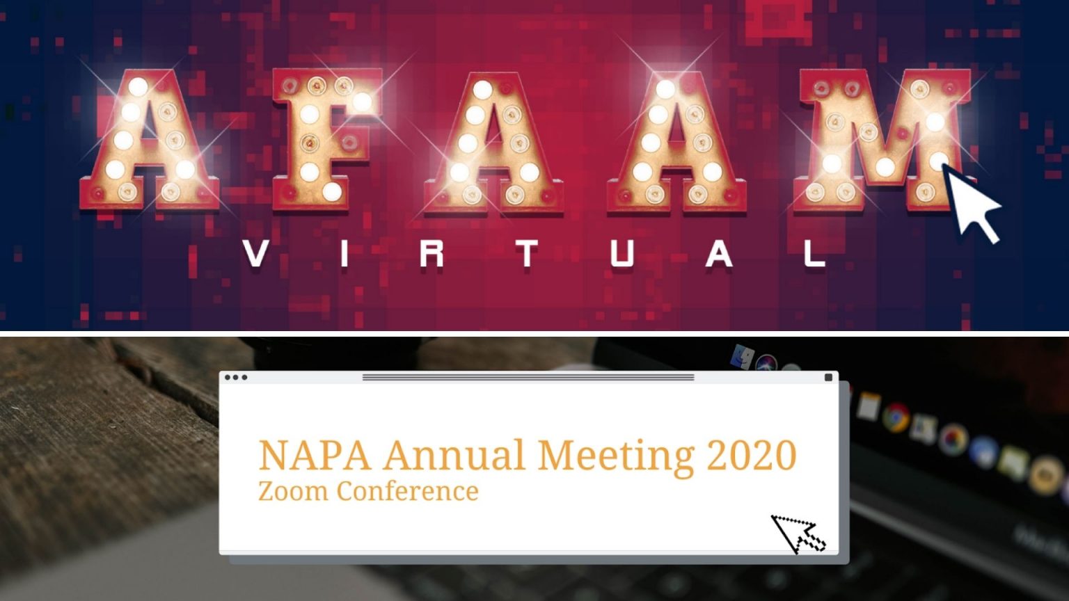 AFA and NAPA Annual Meeting 2020