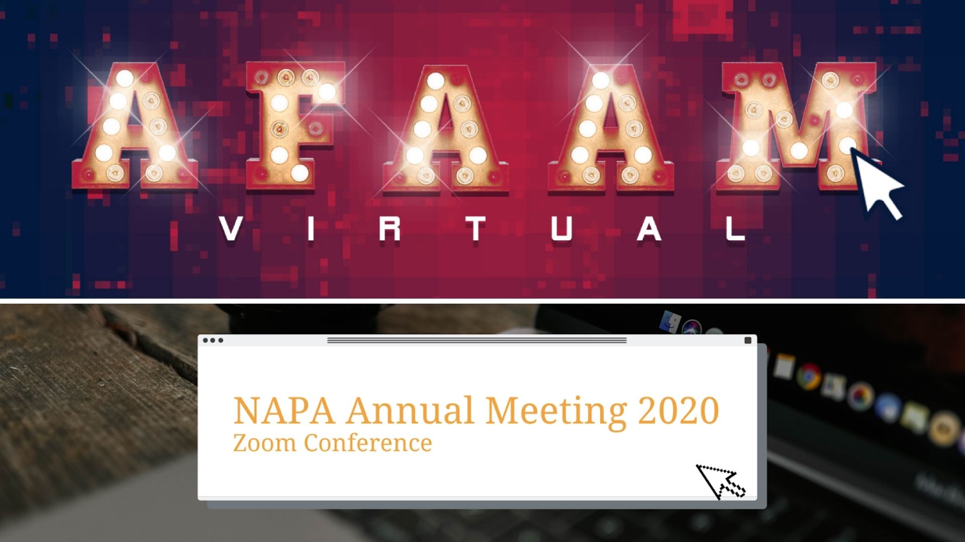 AFA Annual Meeting and NAPA Annual Meeting 2020