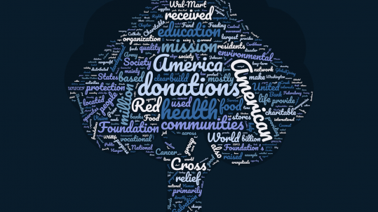 Word Cloud of LFE Foundation in shape of a tree